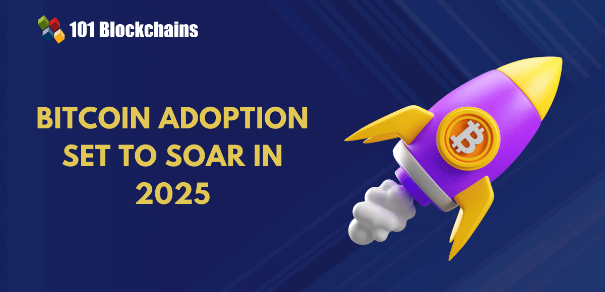 Why 2025 May Be a Breakout Yr for Bitcoin Adoption?