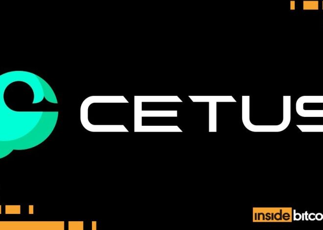 Cetus Protocol, Sui Community’s Largest DEX, Hacked For $223M