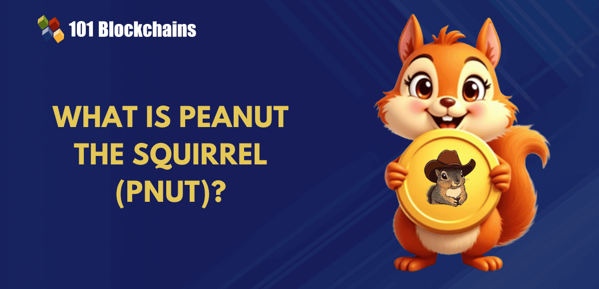 What’s Peanut the Squirrel (PNUT) and How Does it Work?