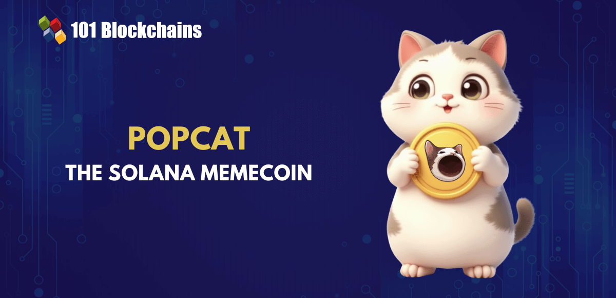 A Deep Dive into Popcat: The Solana Memecoin