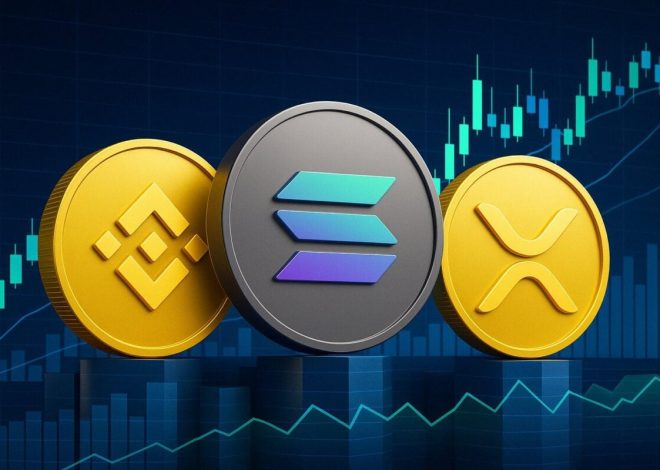 BNB Worth Surge Leads Crypto Positive factors as Bitcoin Climbs
