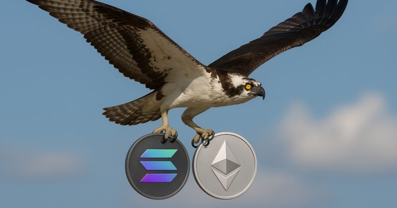 REX-Osprey Ethereum, Solana staked ETFs could launch quickly as SEC raises no objections