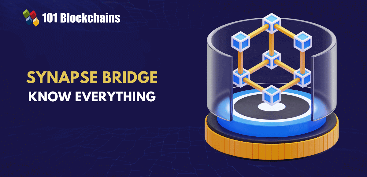 Synapse Bridge: The Main Cross-Chain Answer