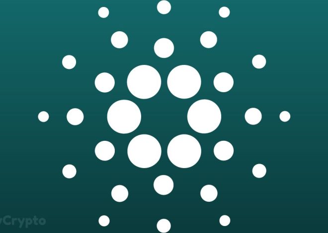 Will $0.50 ADA Assist Maintain or Crack Below Stress? ⋆ ZyCrypto