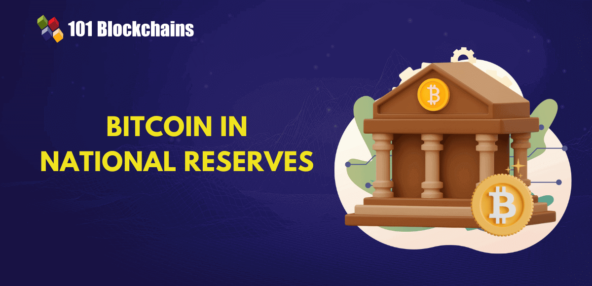 The Function of Bitcoin in Nationwide Reserves
