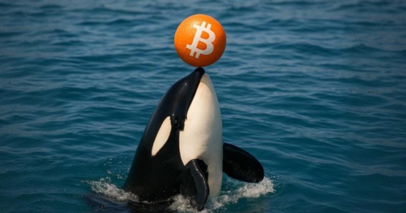Galaxy Digital strikes $447M in Bitcoin to exchanges, sparking sell-off hypothesis