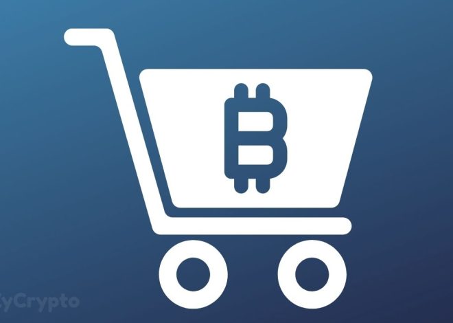 Semler Scientific Buys Tens of millions Extra In Bitcoin, Turns into 14th Largest Company BTC Holder ⋆ ZyCrypto