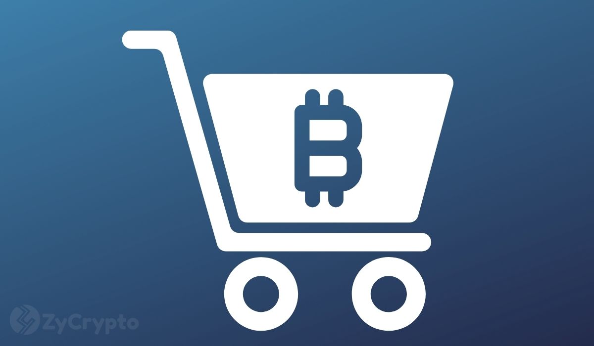 Semler Scientific Buys Tens of millions Extra In Bitcoin, Turns into 14th Largest Company BTC Holder ⋆ ZyCrypto