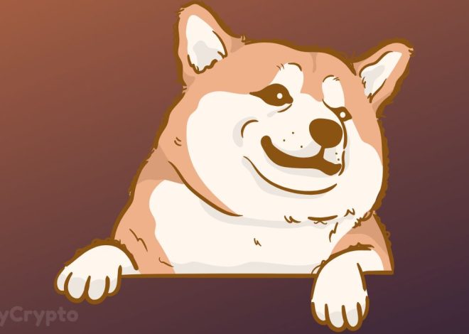 Shiba Inu’s Large Token Burn Spree Might Set off Subsequent SHIB Value Explosion ⋆ ZyCrypto