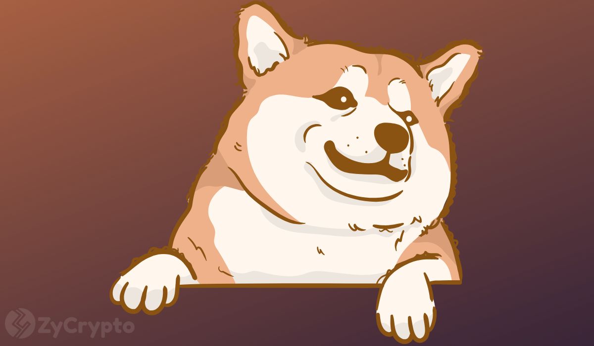 Shiba Inu’s Large Token Burn Spree Might Set off Subsequent SHIB Value Explosion ⋆ ZyCrypto